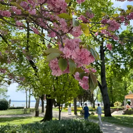 Magdalena Balatonfüred