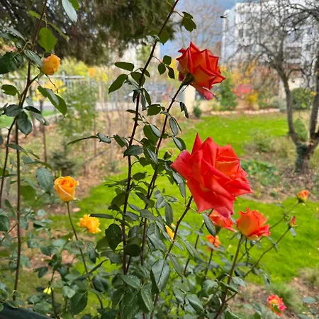 Magdalena